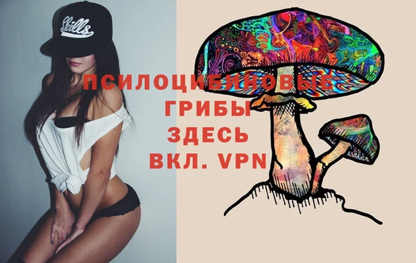 мет Алзамай